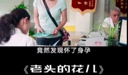 漂亮的家政在线观看,打造您梦想中的漂亮家园