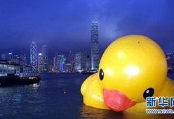 重庆小黄鸭最新爆料新闻,独家爆料揭秘幕后故事