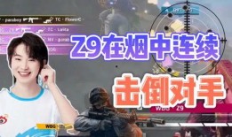 无良战队经理爆料视频,内幕黑幕大揭秘