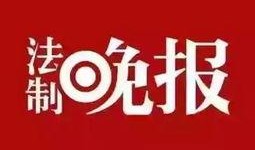 最新生活时事爆料,近期生活热点事件背后的真相与影响